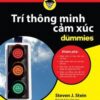 [Tải sách] Trí Thông Minh Cảm Xúc For Dummies PDF.
