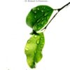 [Tải sách] Biết Ơn Đời, Đời Sẽ Thương Ta PDF.