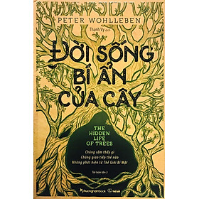 [Tải sách] Đời Sống Bí Ẩn Của Cây

 PDF