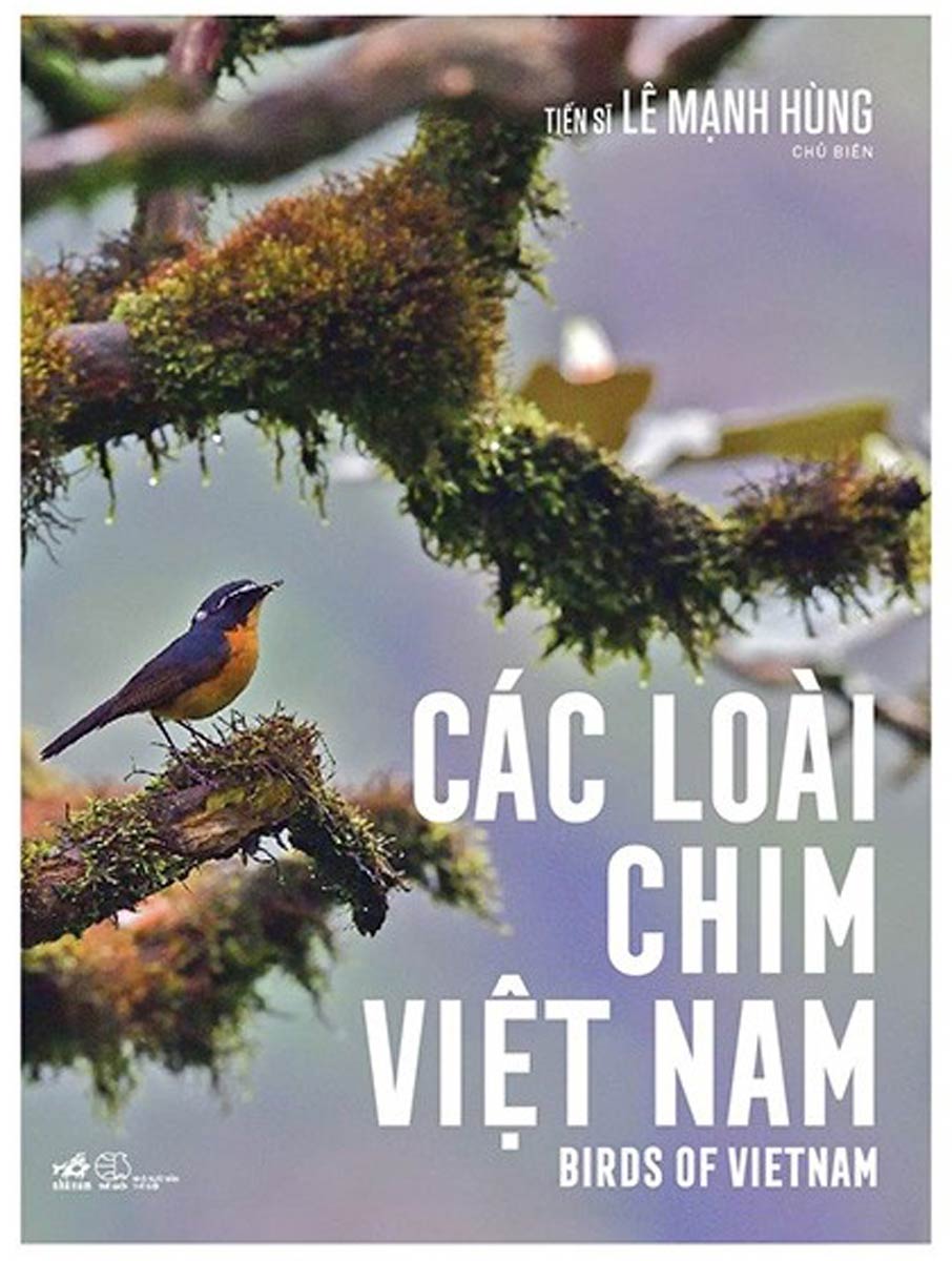 Các Loài Chim Việt Nam