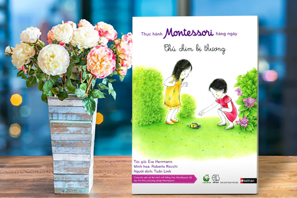 Thực Hành Montessori Hàng Ngày - Chú Chim Bị Thương