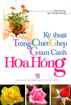 Kỹ Thuật Trồng Chiết  Ghép Giâm Cành Hoa Hồng