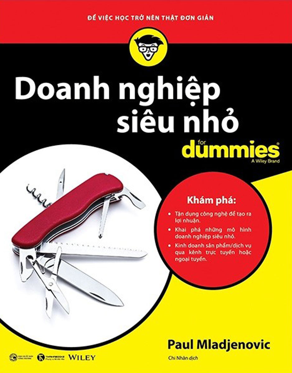 Doanh Nghiệp Siêu Nhỏ For Dummies